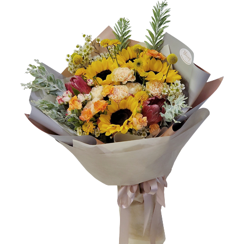 Rosy Brown My Only Sunshine (Glamorous Size Shown)