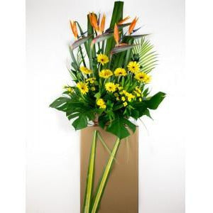 Forest Green Heartfelt Condolences
